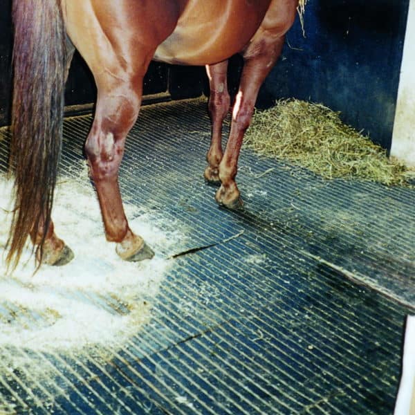 Complete horse bedding mats M2