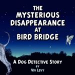 Mysterious_Disappearance_at_Bird_Bridge