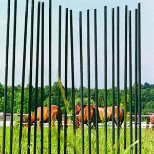 Fence Stakes