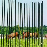 glass fibre fence stakes