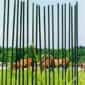 glass fibre fence stakes