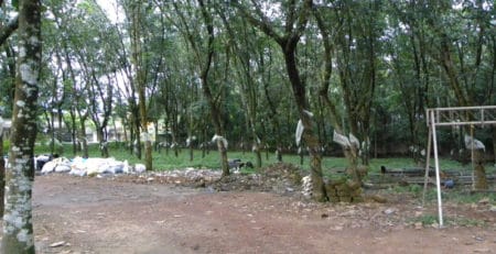Kerala Rubber Plantation